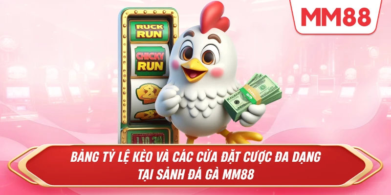 Bảng tỷ lệ kèo và các cửa đặt cược đa dạng tại sảnh Đá Gà MM88
