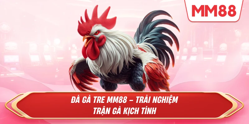 Đá Gà Tre MM88 – Trận Đấu Kịch Tính Trực Tuyến