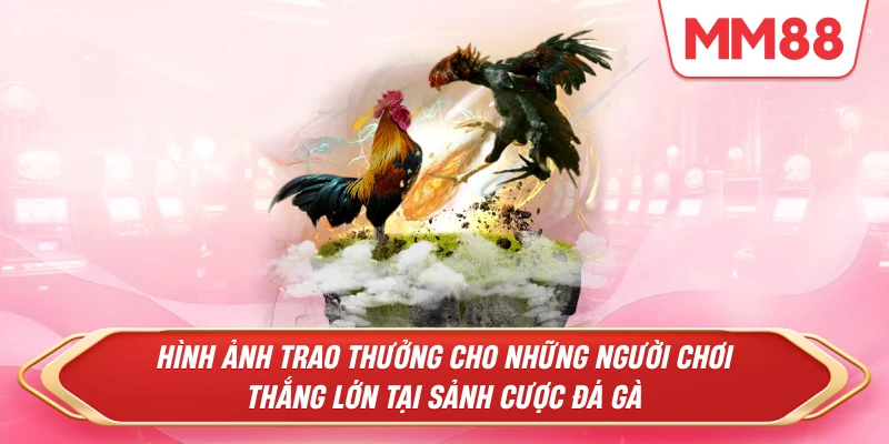  trao thưởng cho những người chơi thắng lớn tại sảnh cược Đá Gà