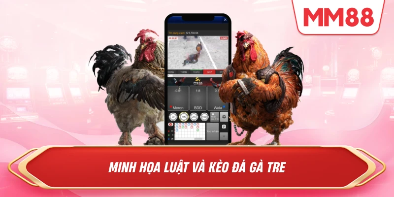 Minh họa luật và kèo đá gà tre