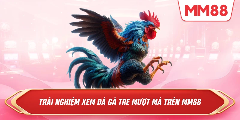 Trải nghiệm xem đá gà tre mượt mà trên MM88